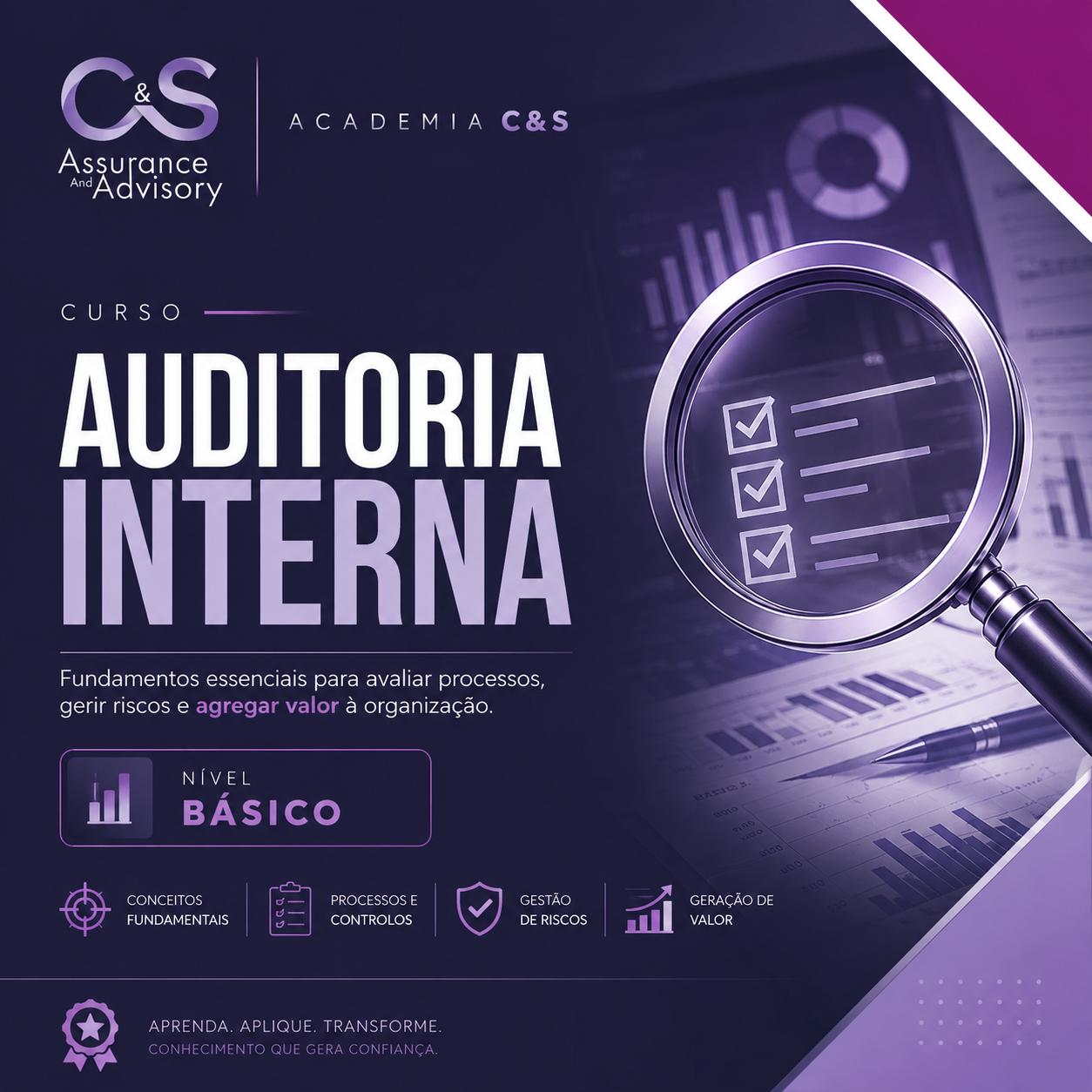 Capa de Auditoria Interna na Prática